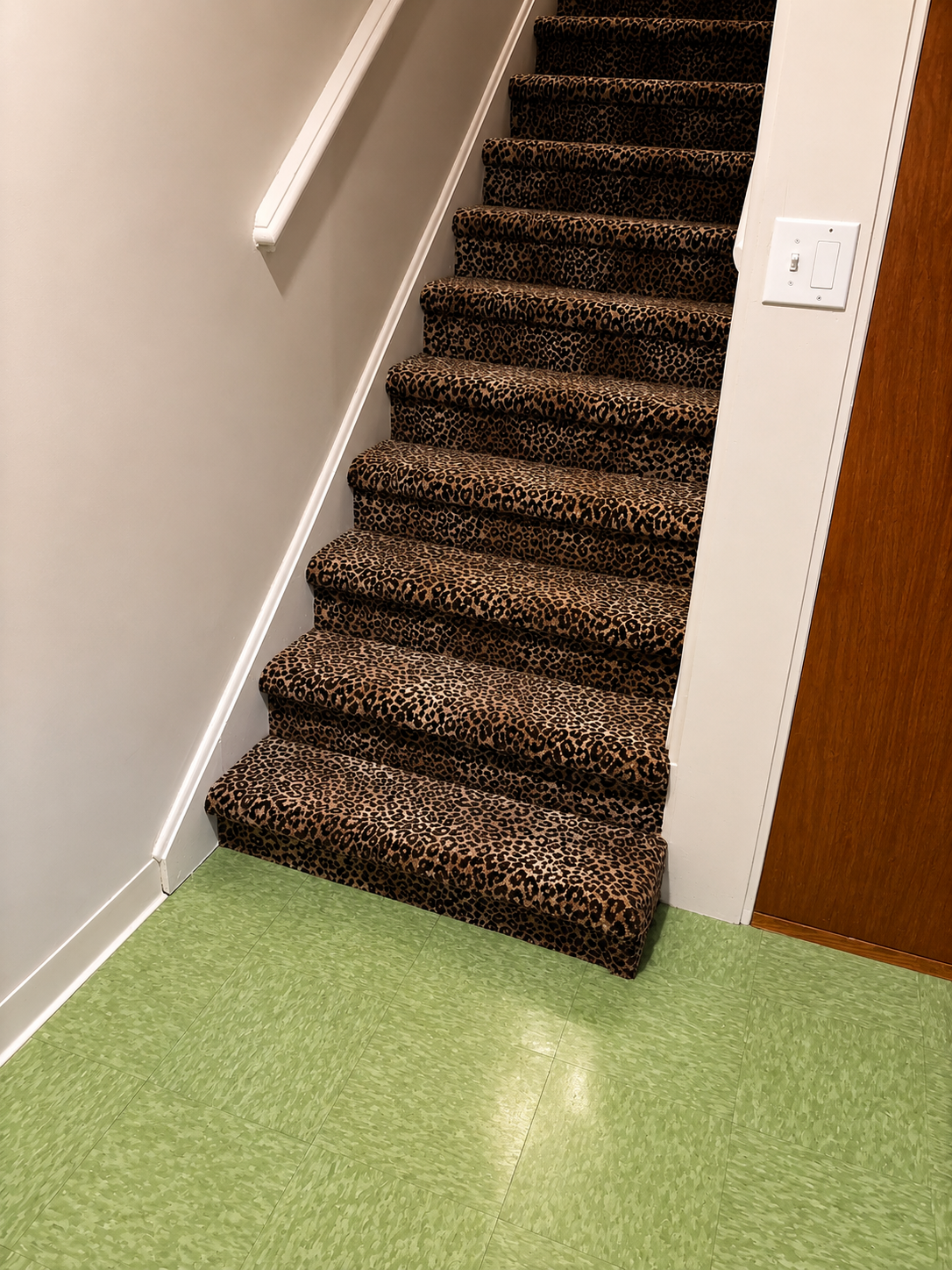 Patterned carpet installed on a staircase with white trim